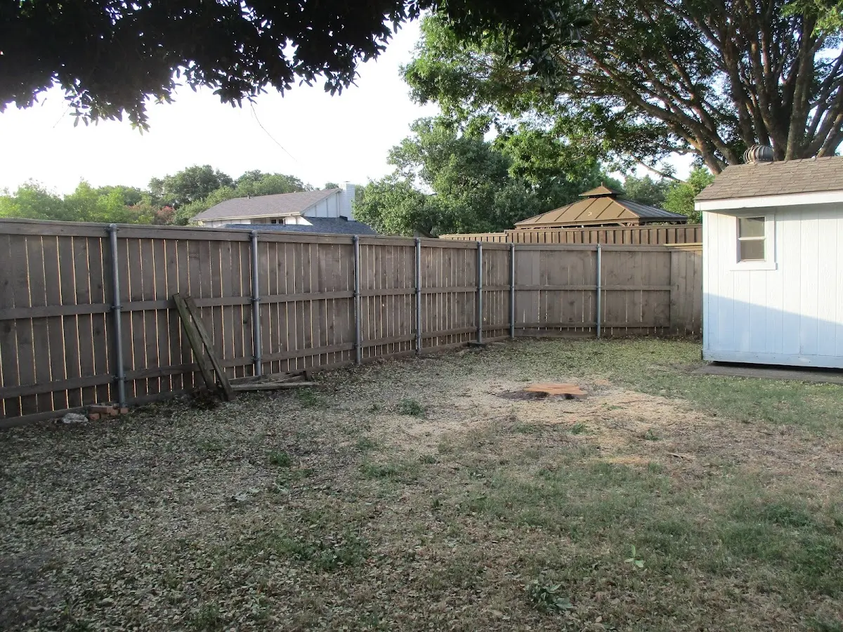 Cleared yard after professional tree removal in Selbyville